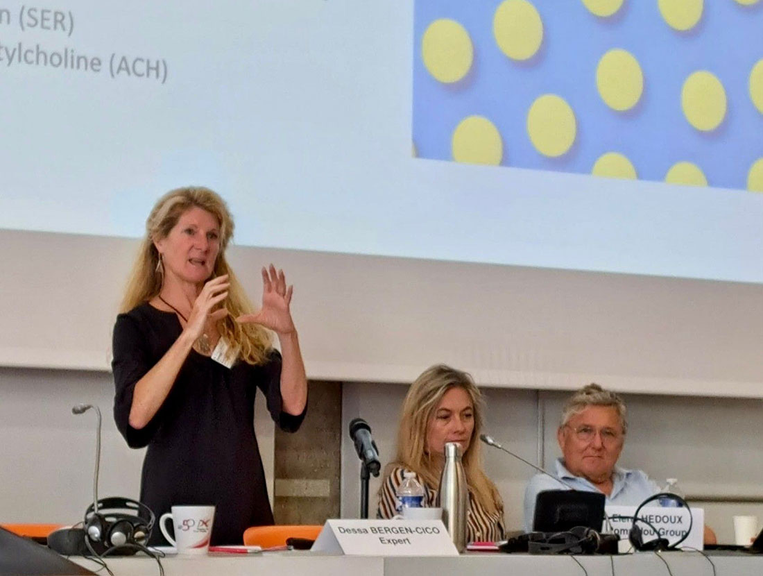 Dessa Bergen-Cico presenting at conference